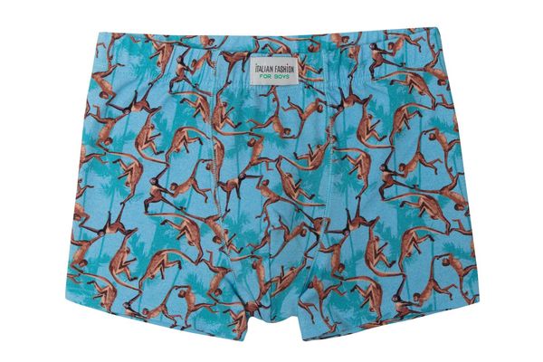 Italian Fashion Hugon Boys' Boxer Shorts - Monkey Print