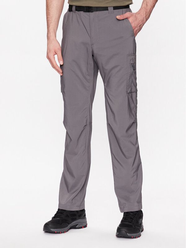 Columbia Columbia Outdoor панталони Silver Ridge™ 2012952 Сив Regular Fit