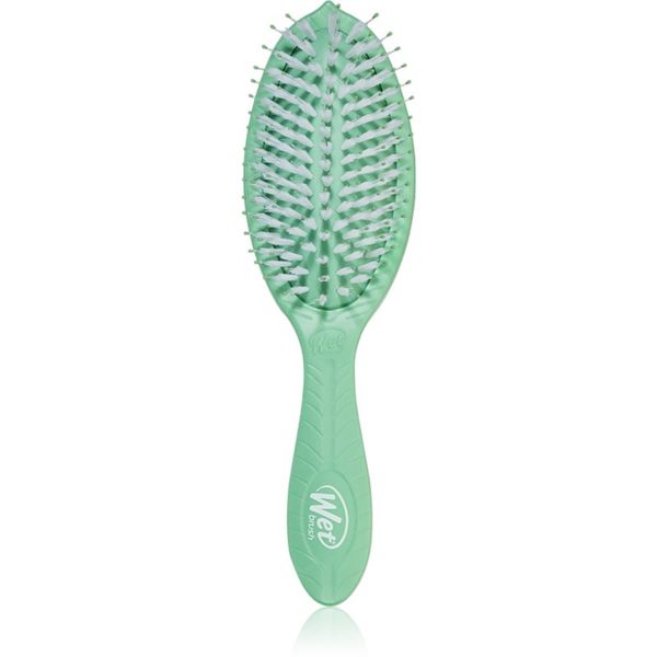 Wet Brush Wet Brush Go Green Treatment And Shine четка за блясък и мекота на косата Tea Tree