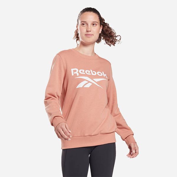 Reebok Classic Reebok Identity Logo French Terry Crew Sweatshirt HB2301