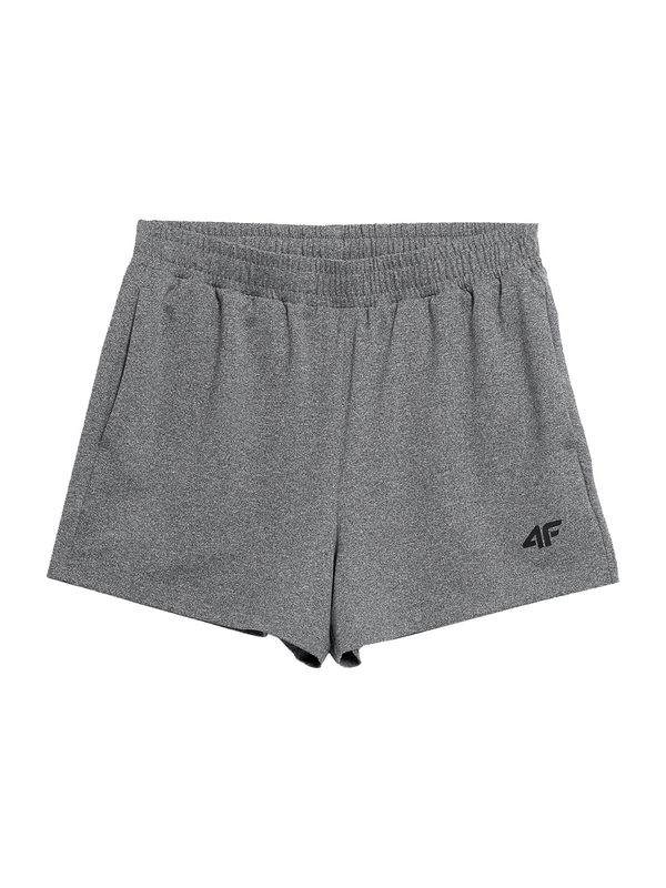 4F 4F Спортен панталон  сиво / черно