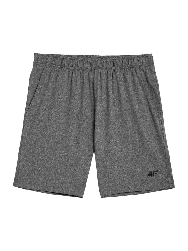 4F 4F Спортен панталон  сиво / черно