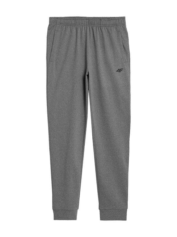 4F 4F Спортен панталон  светлосиво
