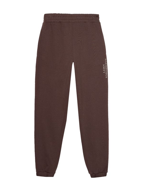 4F 4F Спортен панталон  тъмнокафяво