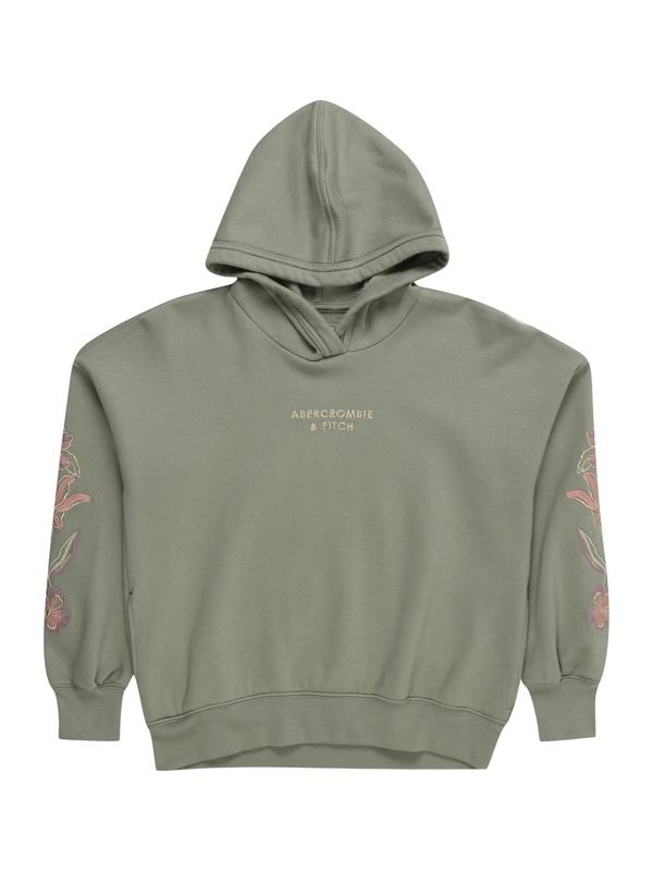 Abercrombie & Fitch Abercrombie & Fitch Суичър 'JAN'  злато / маслина / боровинка / розе