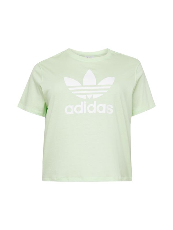 ADIDAS ORIGINALS ADIDAS ORIGINALS Тениска 'Trefoil'  пастелно зелено / бяло