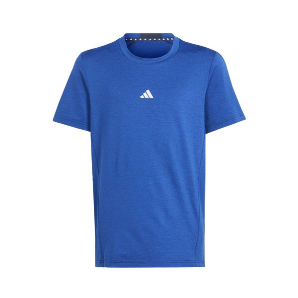 ADIDAS SPORTSWEAR ADIDAS SPORTSWEAR Функционална тениска  синя тинтява / бяло