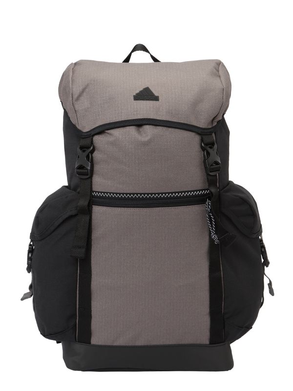 ADIDAS SPORTSWEAR ADIDAS SPORTSWEAR Спортна раница ' Xplorer'  брокат / черно