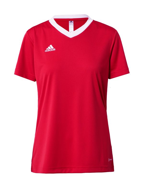 ADIDAS SPORTSWEAR ADIDAS SPORTSWEAR Трико 'Entrada 22'  червено / бяло