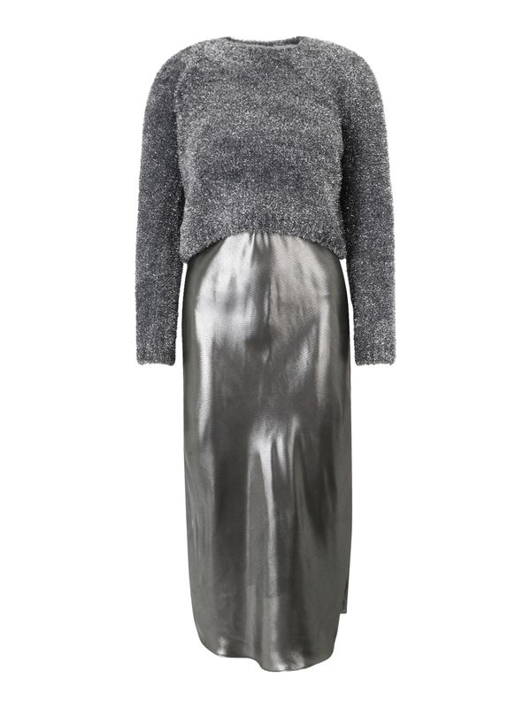 AllSaints AllSaints Рокля 'Rosetta'  сребърно сиво