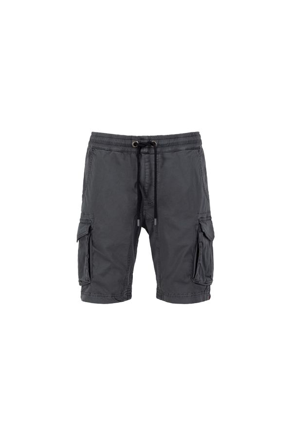 ALPHA INDUSTRIES ALPHA INDUSTRIES Карго панталон  сиво