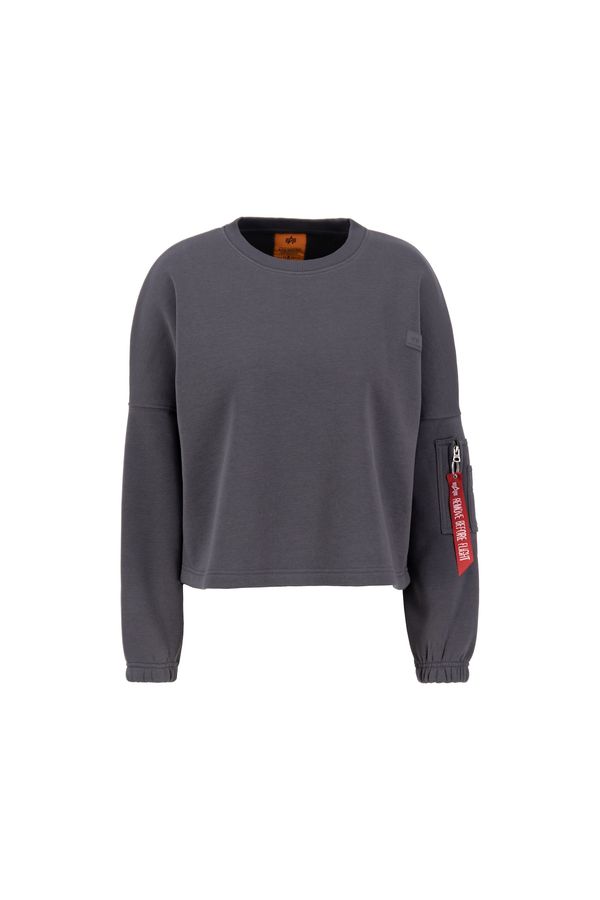 ALPHA INDUSTRIES ALPHA INDUSTRIES Суичър  тъмносиво