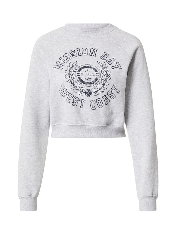 BDG Urban Outfitters BDG Urban Outfitters Суичър  морскосиньо / сиво