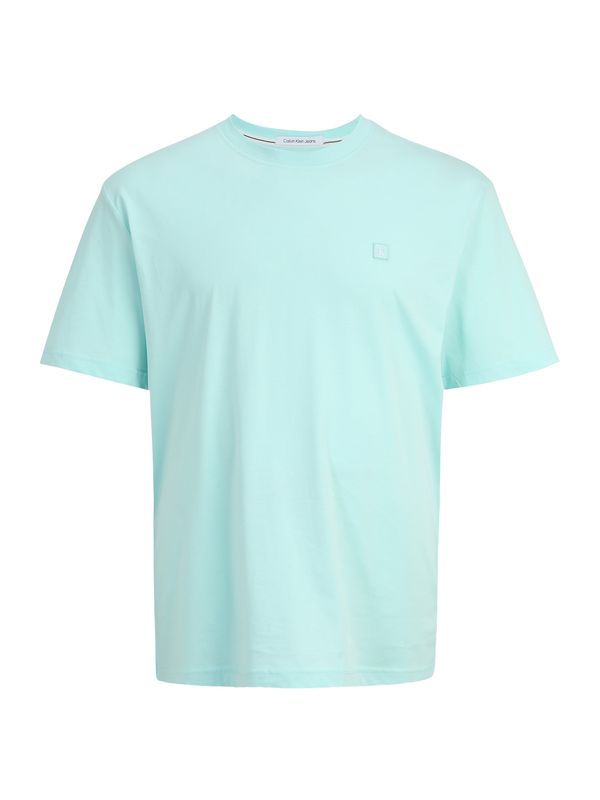 Calvin Klein Jeans Plus Calvin Klein Jeans Plus Тениска  аквамарин / бяло