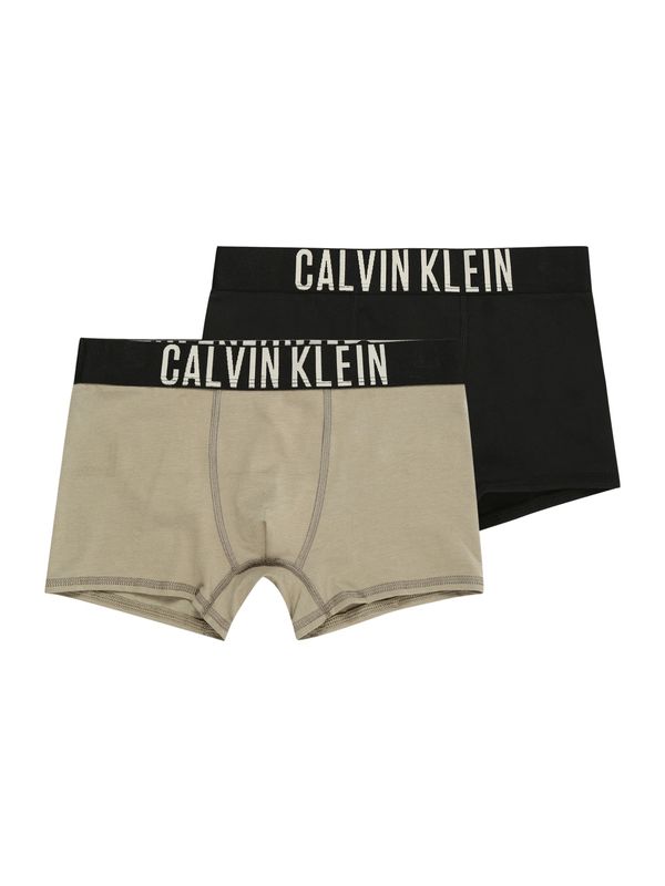 Calvin Klein Underwear Calvin Klein Underwear Долни гащи 'Intense Power'  бежово / черно / бяло