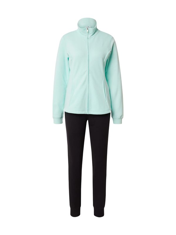 Champion Authentic Athletic Apparel Champion Authentic Athletic Apparel Облекло за трениране  мента / черно