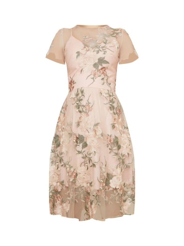 Chi Chi London Chi Chi London Рокля за коктейл  кремаво / пастелно зелено / пепел от рози