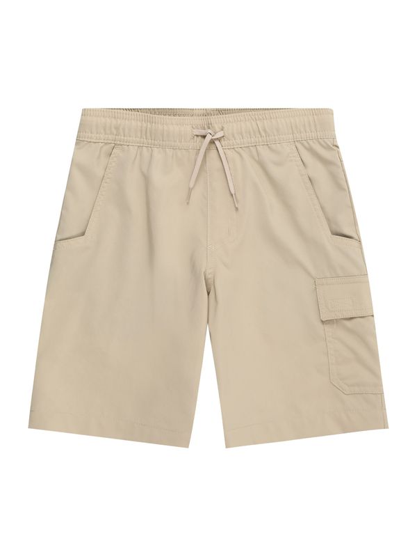 COLUMBIA COLUMBIA Спортен панталон 'Silver Ridge'  светлокафяво