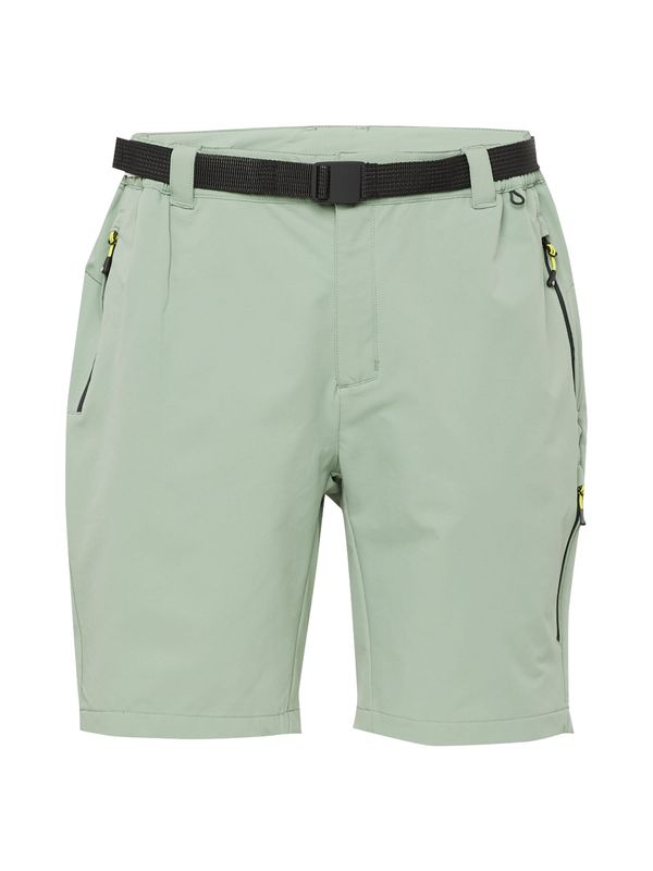 DARE2B DARE2B Outdoor панталон 'Tuned In Pro'  мента / черно