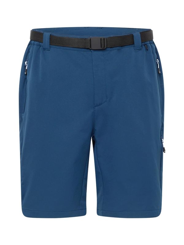 DARE2B DARE2B Outdoor панталон 'Tuned In Pro'  синьо / черно