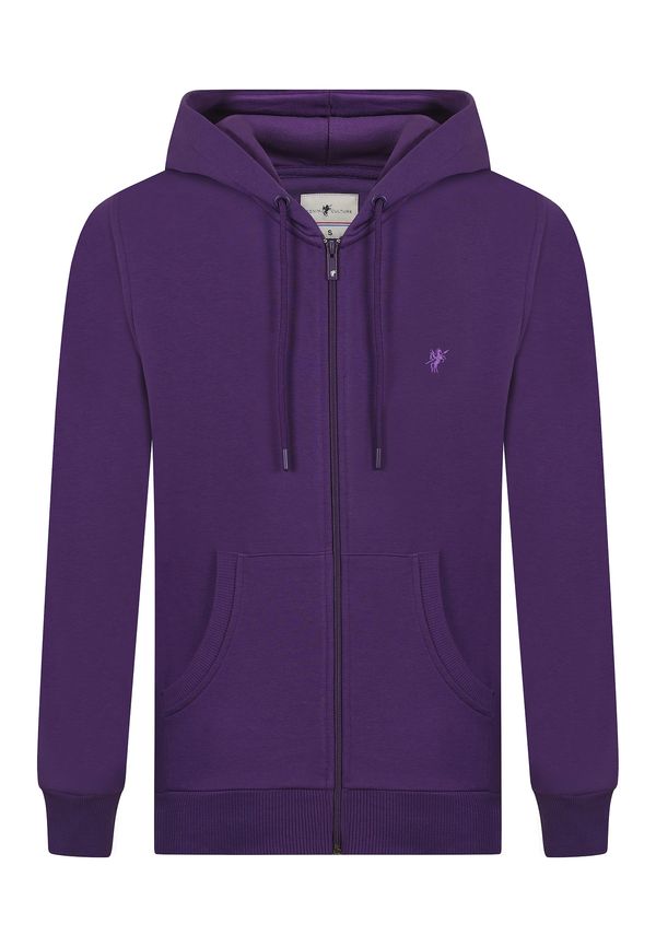 DENIM CULTURE DENIM CULTURE Суичъри с качулка 'PEDRO'  слива