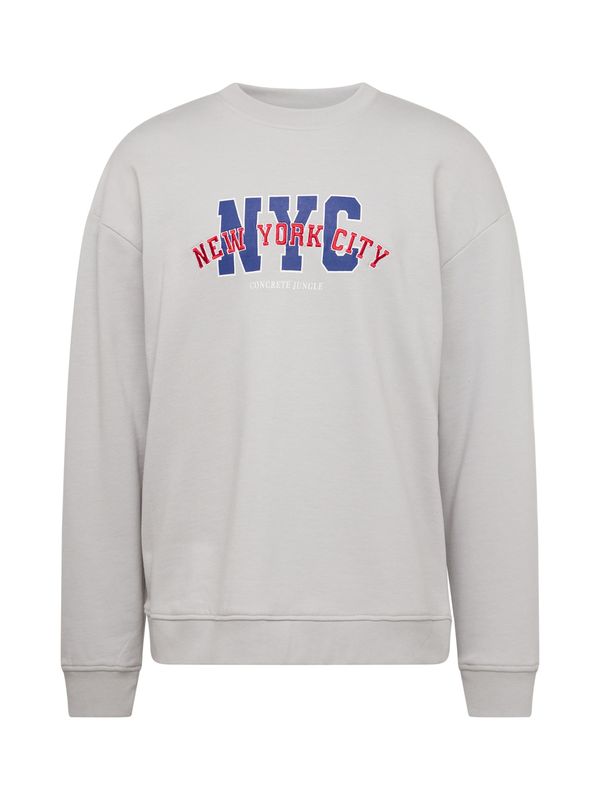 Denim Project Denim Project Суичър 'City'  светлосиво / тъмнолилаво / червено / бяло