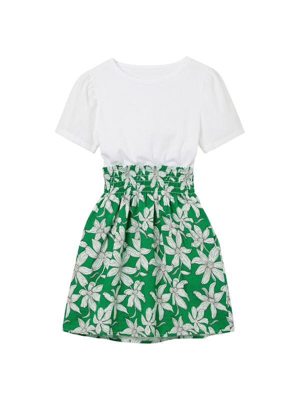 Desigual Desigual Рокля  зелено / черно / бяло