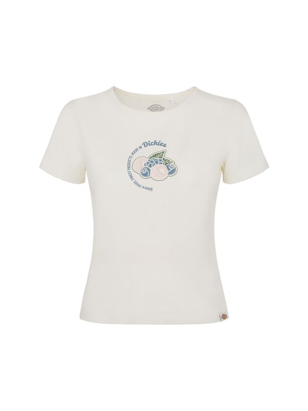 DICKIES DICKIES Тениска 'ALTOONA'  синьо / зелено / розово / бяло