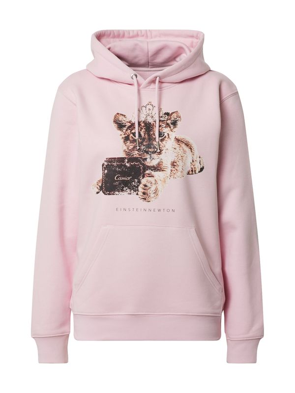 EINSTEIN & NEWTON EINSTEIN & NEWTON Суичър  бежово / кафяво / бледорозово