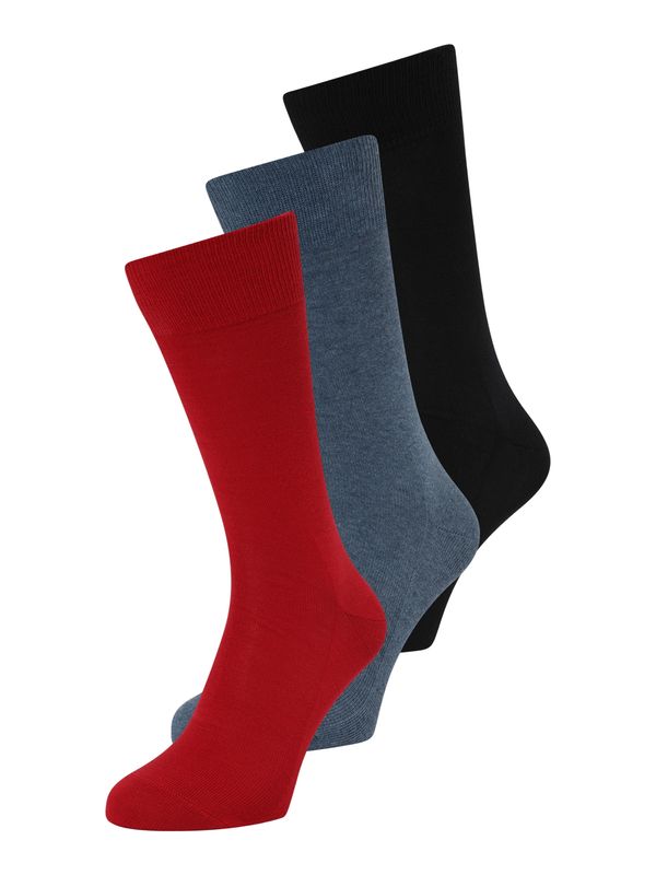 FALKE FALKE Къси чорапи 'Family'  гълъбово синьо / червено / черно