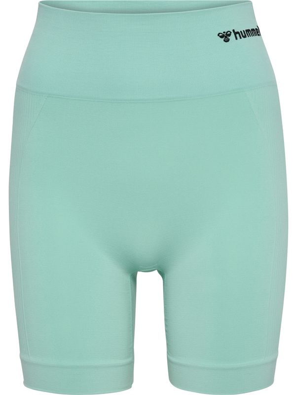 Hummel Hummel Спортен панталон  мента / черно