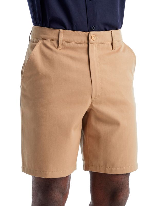 ICEBREAKER ICEBREAKER Outdoor панталон 'Berlin'  цвят "пясък"