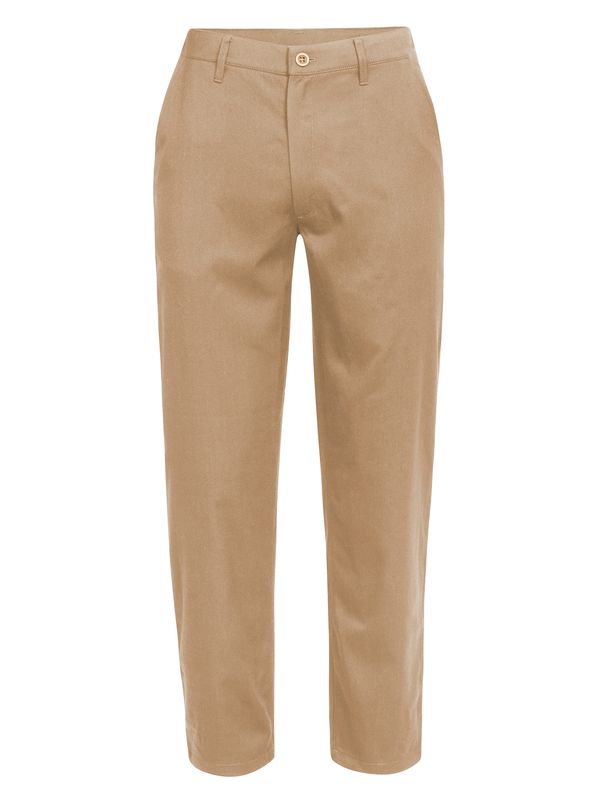 ICEBREAKER ICEBREAKER Outdoor панталон 'Berlin'  пясъчен