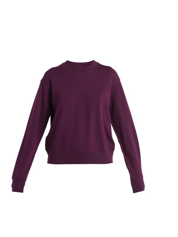 ICEBREAKER ICEBREAKER Суичър 'Crush II'  слива