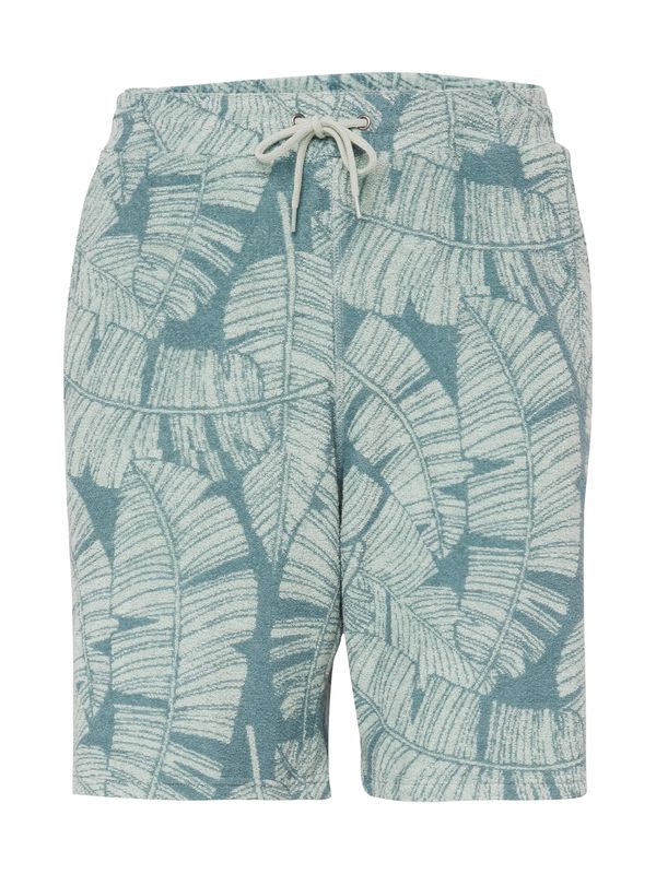 Iriedaily Iriedaily Панталон 'Bananos'  зелено / мента