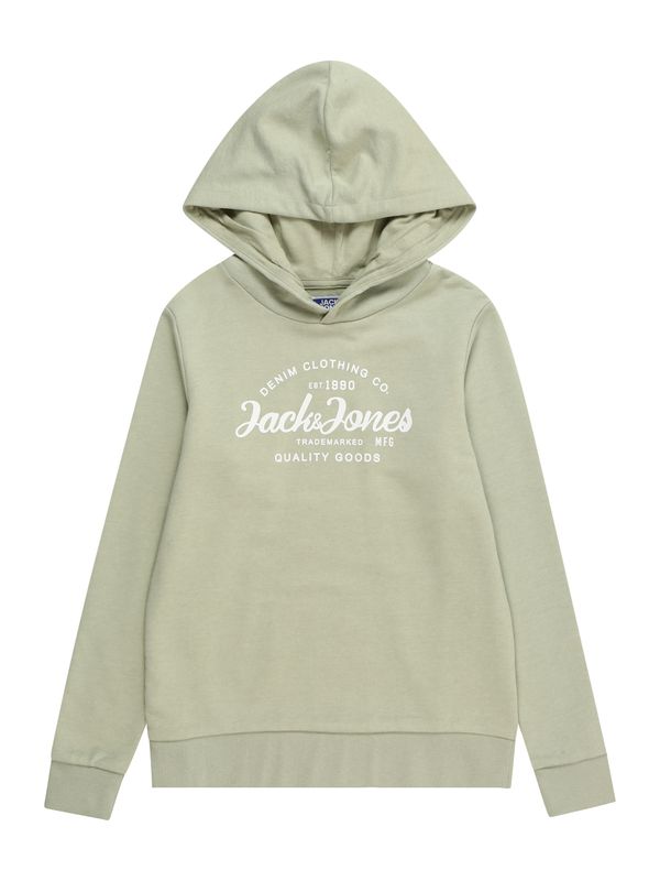 Jack & Jones Junior Jack & Jones Junior Суичър 'Forest'  пастелно зелено / бяло