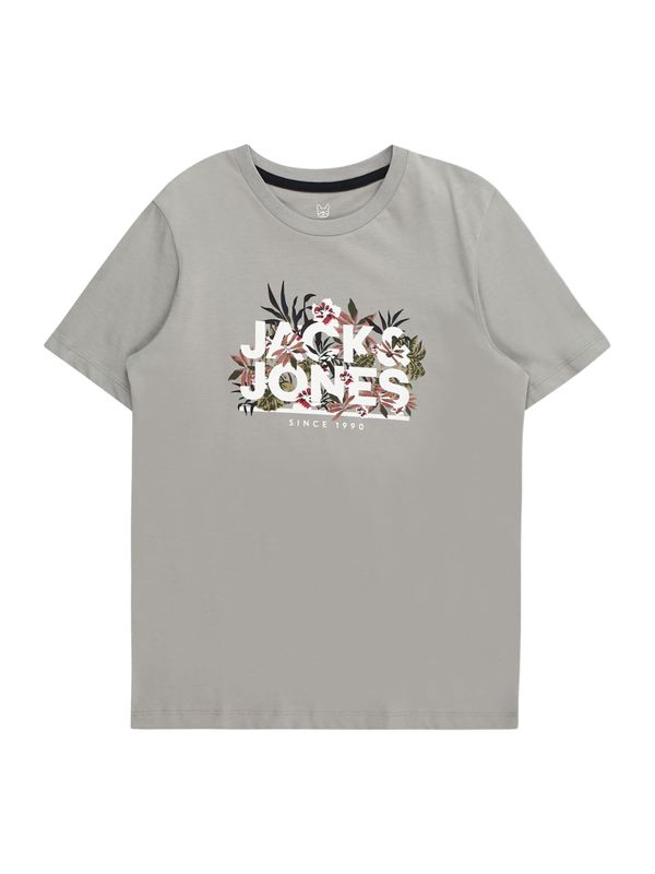 Jack & Jones Junior Jack & Jones Junior Тениска 'CHILL'  сиво / маслина / пепел от рози / бяло