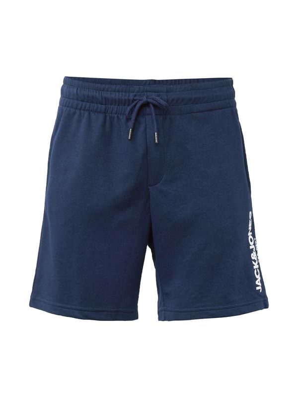 JACK & JONES JACK & JONES Панталон 'GALE'  нейви синьо / бяло