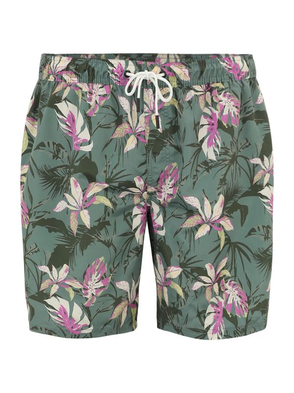 Jack & Jones Plus Jack & Jones Plus Шорти за плуване 'FIJI'  зелено / тъмнозелено / орхидея / мръсно бяло