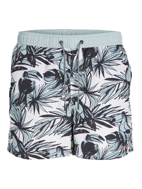 JACK & JONES JACK & JONES Шорти за плуване 'FIJI'  мента / тъмнооранжево / черно / мръсно бяло