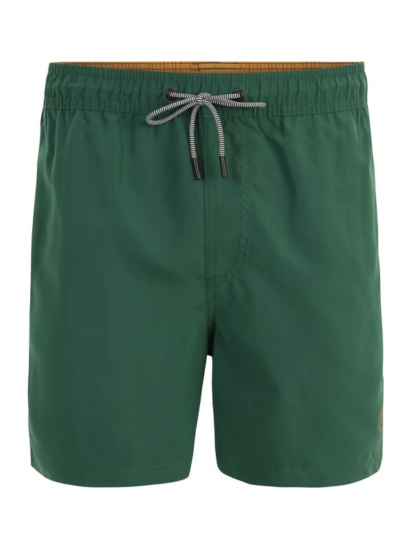 JACK & JONES JACK & JONES Шорти за плуване 'FIJI'  тъмнозелено