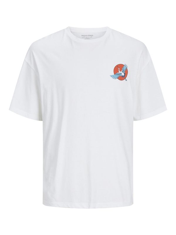 JACK & JONES JACK & JONES Тениска 'BRADLEY BEHIND'  светлосиньо / сиво / червено / бяло