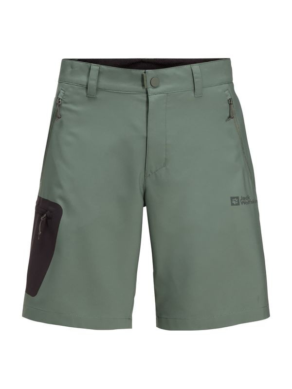 JACK WOLFSKIN JACK WOLFSKIN Outdoor панталон 'ACTIVE TRACK'  зелено / черно