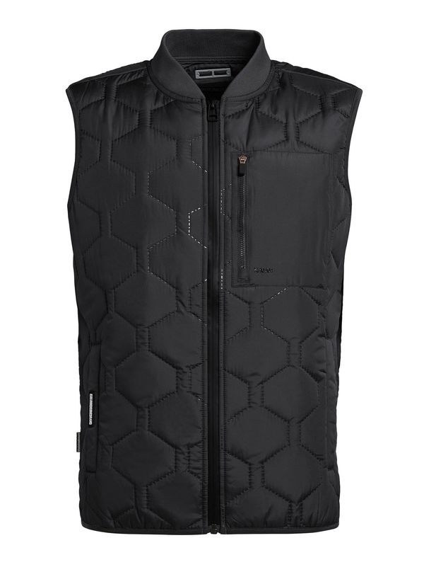 khujo khujo Елек 'Liel'  черно