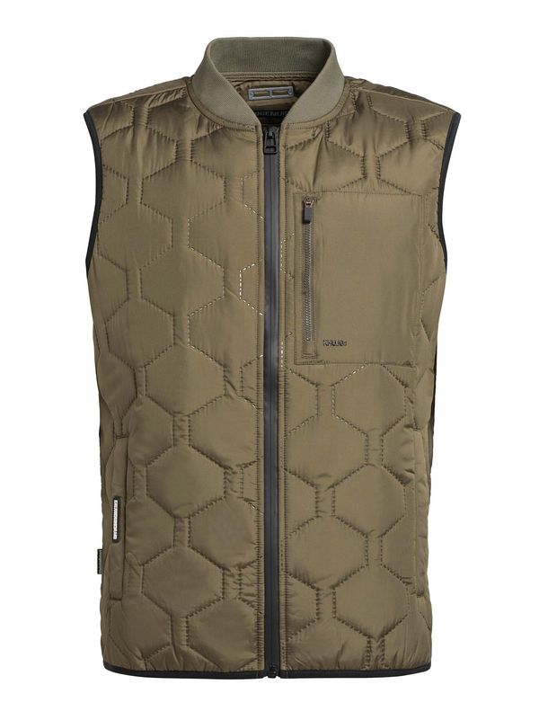 khujo khujo Елек 'Liel'  маслина