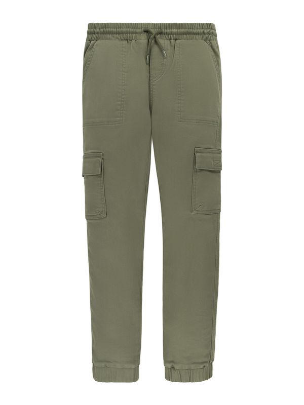 LEVI'S ® LEVI'S ® Панталон  зелено / червено