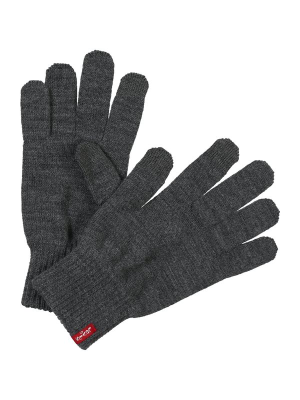 LEVI'S ® LEVI'S ® Ръкавици с пръсти 'Ben'  сив меланж