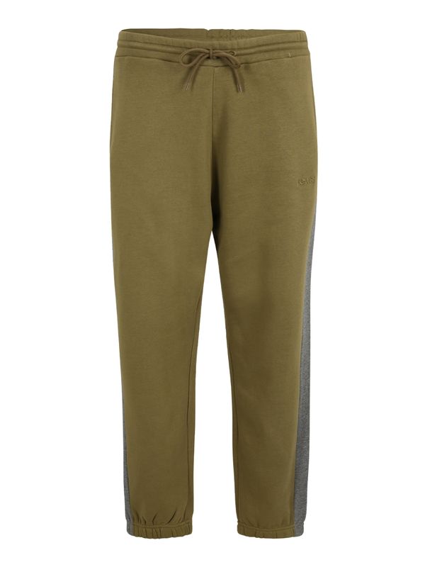 Levi's® Big & Tall Levi's® Big & Tall Панталон 'Big Varsity Jogger'  сиво / маслина