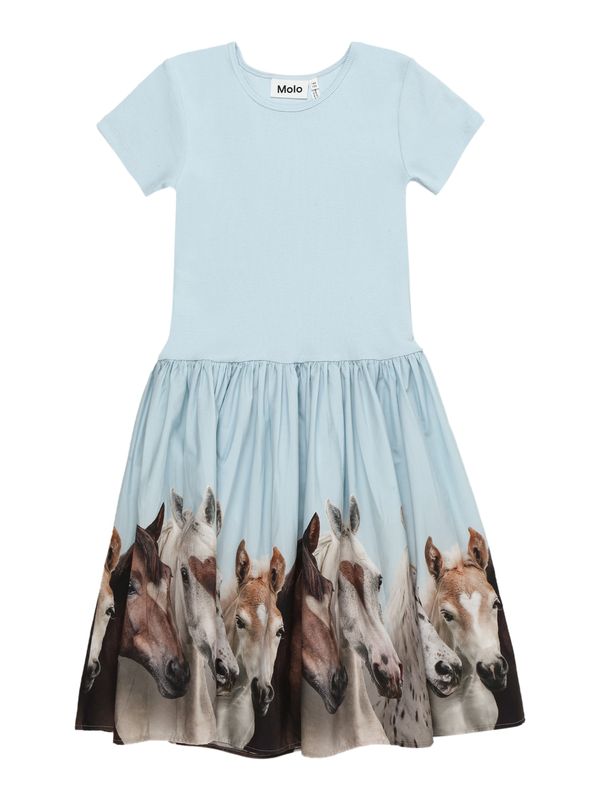 Molo Molo Рокля 'Cissa'  светлосиньо / кафяво / тъмнокафяво / сиво