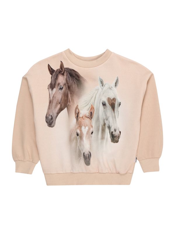 Molo Molo Суичър 'Maxi'  кафяво / бледорозово / черно / бяло